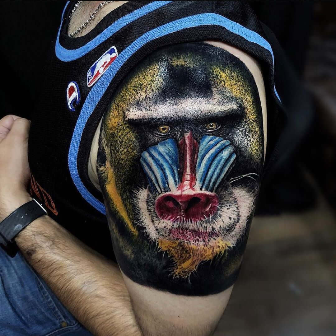 Gorilla tattoo full of color on the arm with Emalla Eliot Cartridge Needles
